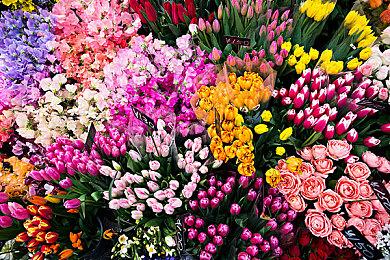 《野外飞盘2》发售预告 首发特惠促销